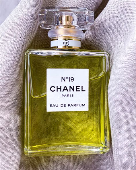 chanel no 19 eau de parfum review|chanel no 19 perfume review.